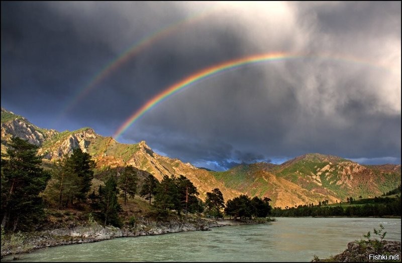 Солянка от 07.09.2020