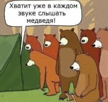 Медведь напал на туристическую палатку в Пермском крае