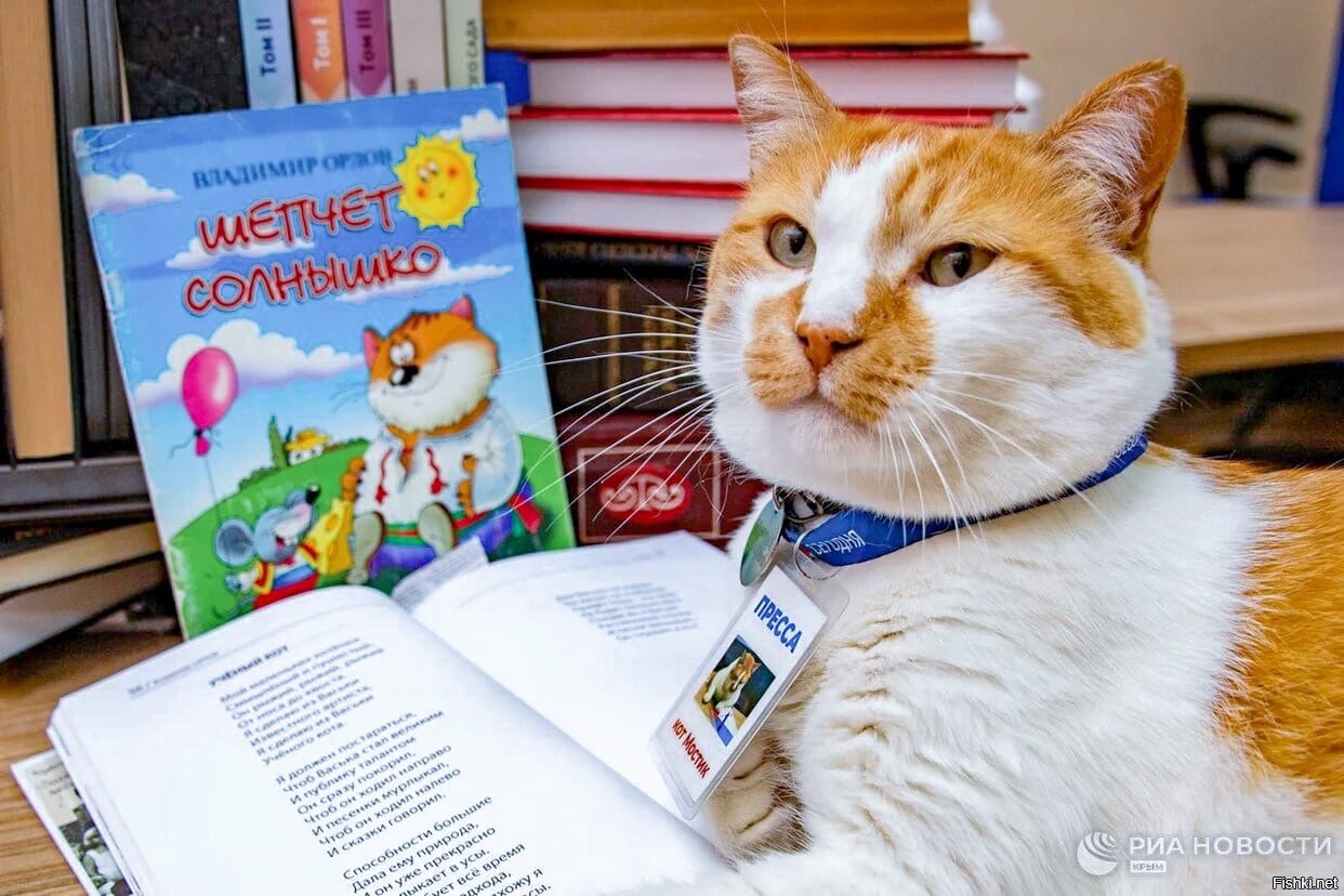 Книги ученый кот. Кот ученый. Кот учёный Обнинск. Ученый кот воспитатель. Стих кот ученый.