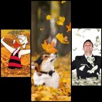 Прикольные и смешные картинки