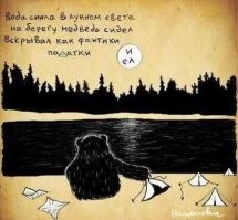 Медведь напал на туристическую палатку в Пермском крае