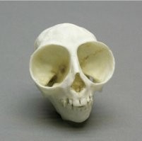 Скрины из социальных сетей