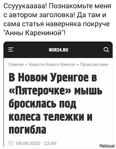 Политические комментарии из инета