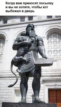 Прикольные и смешные картинки