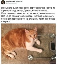 Есть дома электронные весы. 
И четверо хвостов. 
Двое - 4 мес. 
Один пристрастился спать на весах. 
Кило семьсот, оказался. 
Взвесили братика - тоже кило семьсот.
Синхронно растут.