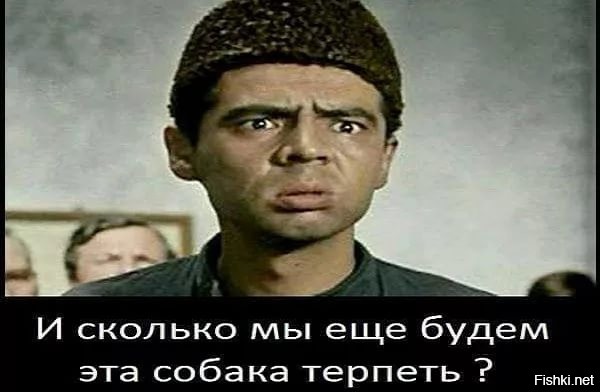 16 лохматых вредителей, от которых рука сама тянется за успокоительным