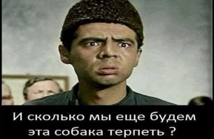 16 лохматых вредителей, от которых рука сама тянется за успокоительным