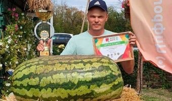 Нормальное было лето.