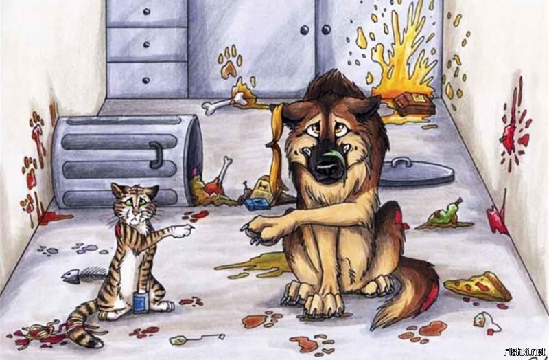 Солянка от 09.09.2020