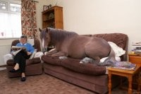 Скрины из социальных сетей