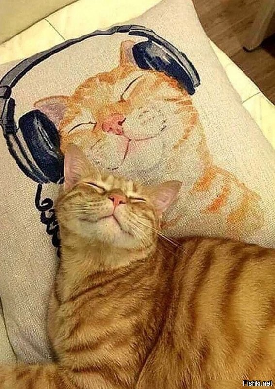 Солянка от 09.09.2020