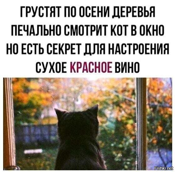 Кажется дождь собирается