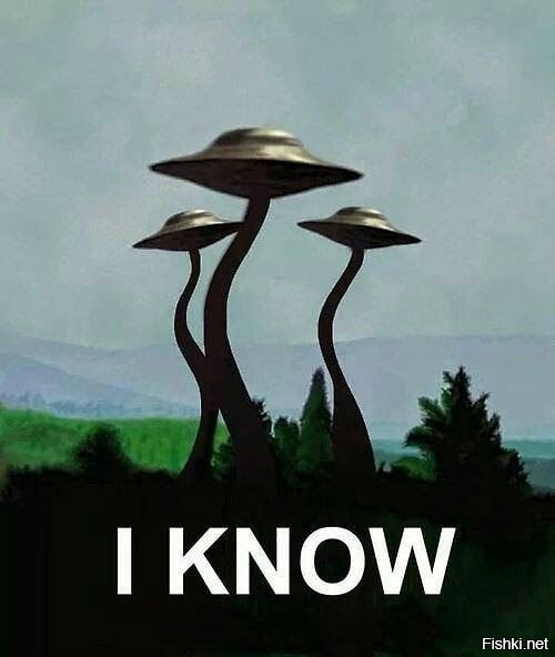 Солянка от 09.09.2020