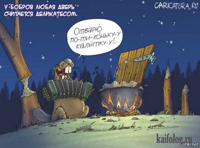Вся правда о бобрах