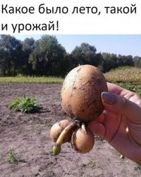Девочке ... три