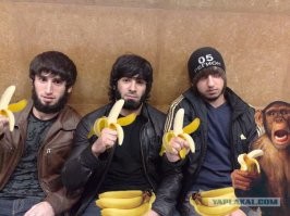 Тупые мартышки, ещё какие-то 100 лет назад сидевшие в шалашах, по щиколотку с собственной моче и кале, выковыривали у друг друга вшей и общались примитивными односложными словами. Пришёл белый человек, дал им медицину, науку, образование, строительство и все балга белой цивилизации которая эволюционировала тысячи лет. И нет бы  этим попуасам, начать стремительно пытаться нагнать белых людей в развитии. жадно впитывая знания которые дают бесплатно, так нет..всё что они научились - одеваться безвкусно, кидать дешёвые галимые понты, ненавидеть белых (на самом деле это крайняя степень зависти к более успешной расе), но так и не научились банально следить за личной гигиеной, вести себя культурно или пользоваться аккуратно технологиями.. одна из которых транспорт..который слишком сложен и непонятне для них. слишком быстр.. а такак физику они не учат, так ещё и не понимают что может произойти. Им пока что в меру умственной ограниченности надо на ослах ездить не спеша, и не убиться.
Жалко что невиновные люди погибли.
По хорошему всех этих обезьян, чеченцев, ингушей, дагестанцев и прочих кавказцев которые ещё мозгом в неолите - надо изолировать наглухо в их аулах, а через 10 лет, заселить всё там нормальными белыми людьми, ведь обезьяны в изоляции тупо не выживут.. сначала передеруться за мизерную власть и влияние, выпиливая друг дружку тейппами, а потом тупо загнуться от нехватки еды и лекарств.. потому что делать они ничего не умеют, а их исконные места обитания не в состоянии прокормить столько грязи, которой развелось, когда пришли белые цивилизованные люди и дали этим кровососущим вшам - дорогу в светлое будущее. Вот мне кажется изолировав всю эту гниль, лет на 30, мы просто решим с ними проблему.. точнее они сами переварятся в собственном соку и тихо вымрут, как бракованные особи.