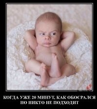 Мемов не ждём: в этом году прямой линии с Путиным не будет