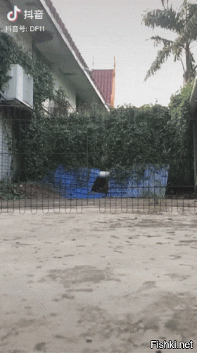 Если это Василь Иваныч и Анка, то это Петька.