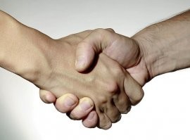 Кошка всю ночь прождала видеозвонка от своего хозяина