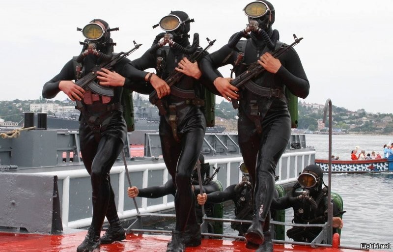 Севастопольский котик