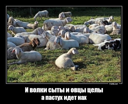 В Белоруссии неизвестные задерживали женщин за демонстрацию солидарности Колесниковой