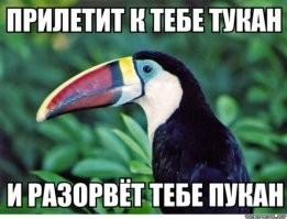 Прикольные и смешные картинки