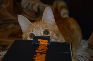 Мой охотник))