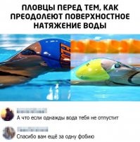 Скрины из социальных сетей