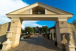 Они про этот бюст