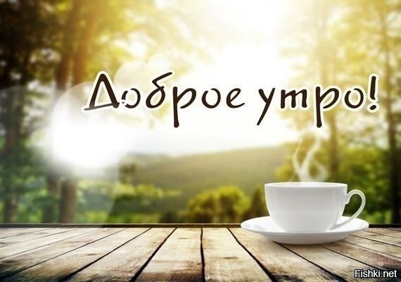так, я нипонял чашку помыли  завтра проверю ...