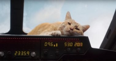 На картинке нарисован, кот "Гусь", "Goose", по другой версии - кошка "Гуся". 
В оригинале в комиксе его имя - Чуви. 
Этот вполне может съесть и большого Чужого.