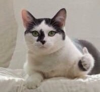 Пост о устаревших ПК железках. (Ничего интересного для большинста)