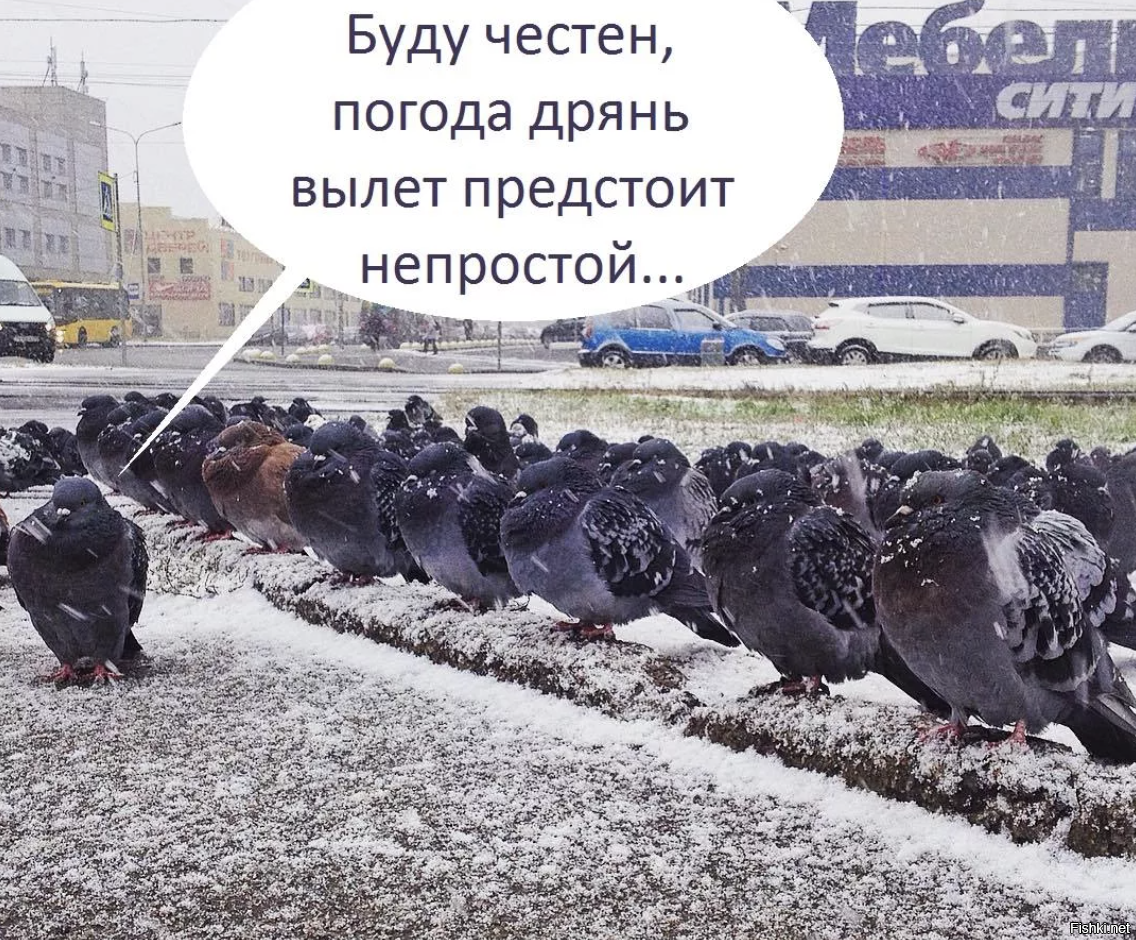 Солянка от 10.09.2020