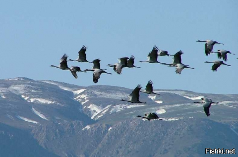 Солянка от 10.09.2020