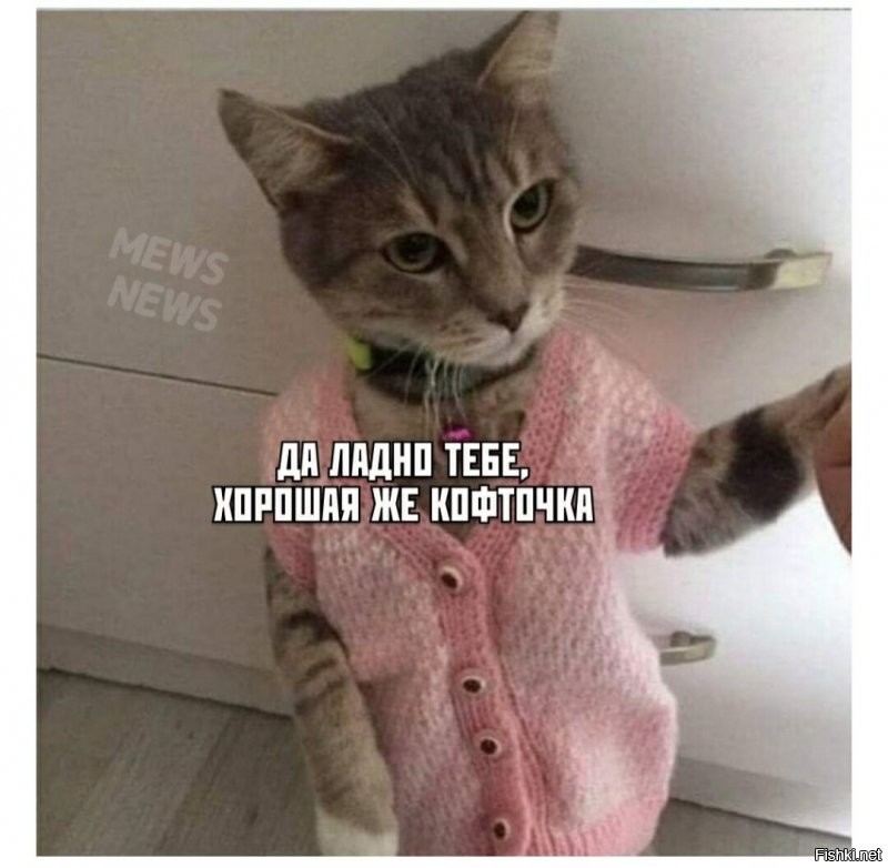 Солянка от 10.09.2020
