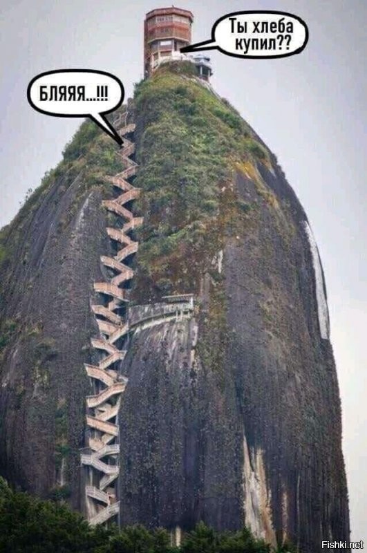 Солянка от 10.09.2020