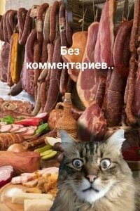 Прикольные и смешные картинки