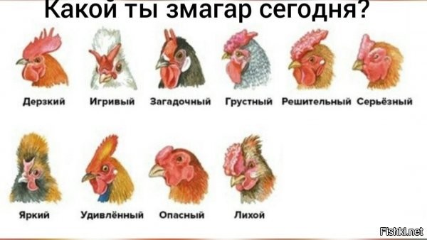 Политическая солянка. Часть 266