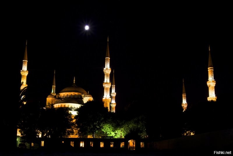 из моей коллекции
снимал в 2012 м году