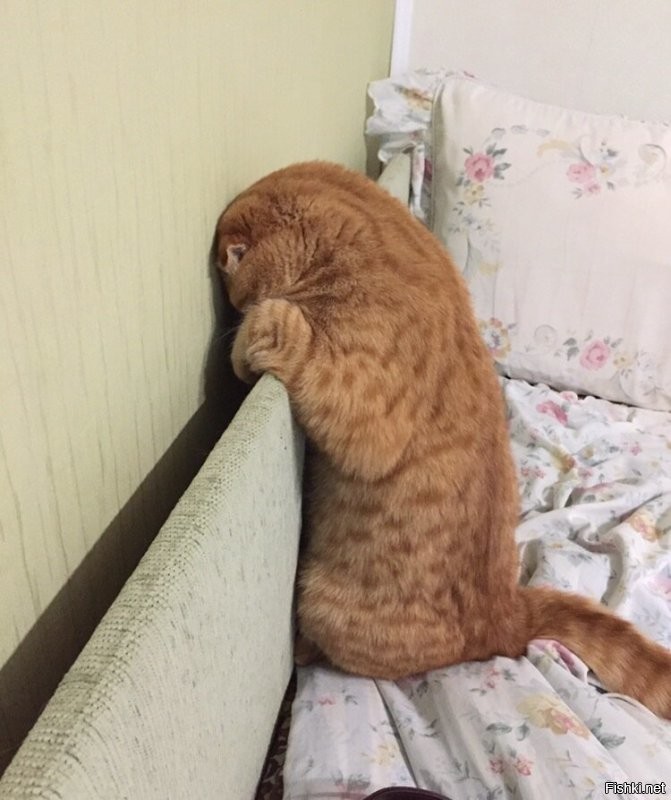 Так?