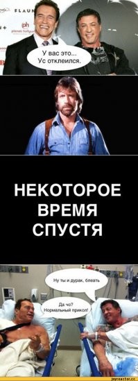 Чак Норрис. Спасибо, что крутой!