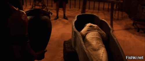 Египетские археологи нашли 13 нетронутых саркофагов с мумиями