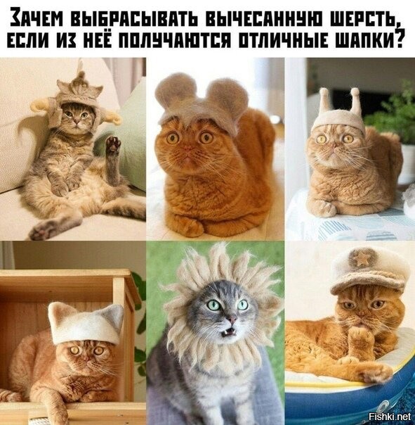 Солянка от 11.09.2020