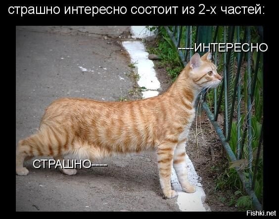 Солянка от 11.09.2020