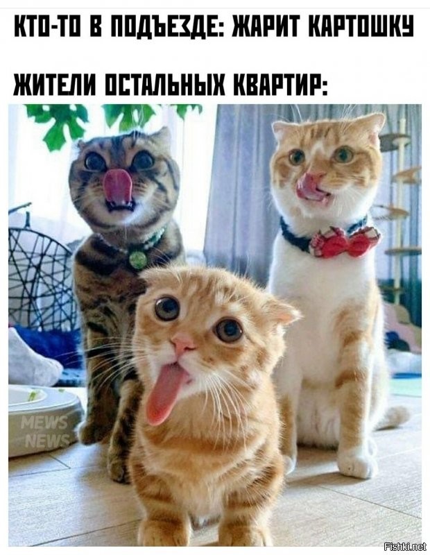 Солянка от 11.09.2020