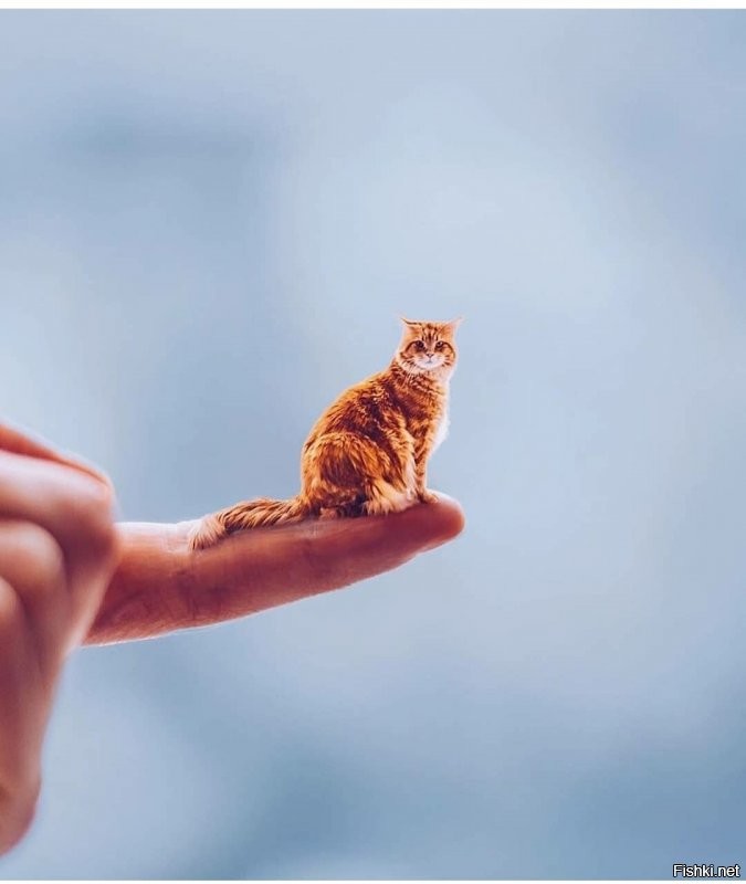 Утипути милые )