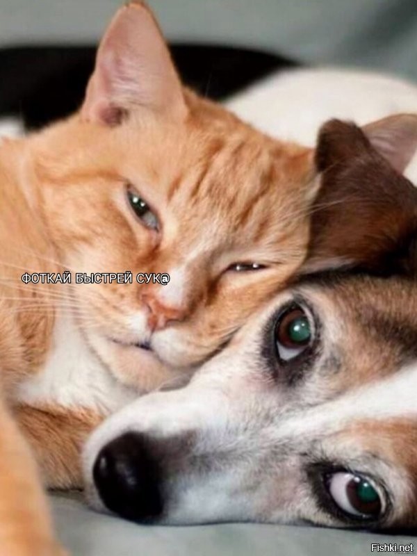 Солянка от 11.09.2020