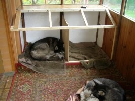 Раньше жили дома, но зимой им жарко было. 
Сейчас на  веранде. Сухо,  и ветра нет, а сильные морозы у нас теперь большая редкость.