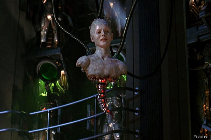 У Боргов все симпатяги )