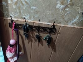 Просто вешалка из FixPrice за 53 рубля.